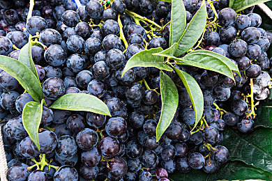 被困在洗衣机的姐姐：旋转牢笼中的家庭共振谜题-2