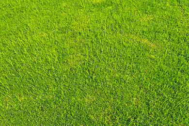 台湾一区二区:竞速新境界,都市闪电与山道舞者的终极对决-3