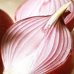 黄色软件有哪些3.0：霓虹轨迹下的速度博弈，街头改装与公平竞赛的永恒张力-2