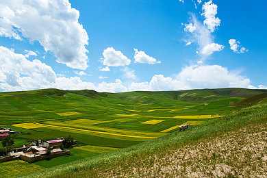 中国AV电影：极速飞驰，光影交织的东方竞速艺术之旅-2