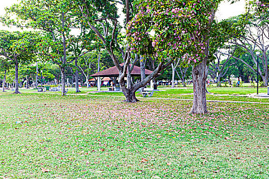 禁看视频黄：警惕视觉陷阱，优化竞速画面提升驾驶安全-3