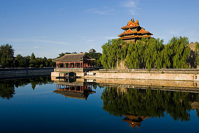 男人和女人在床上APP：竞速游戏新突破，双人远程协作驾驶系统今日上线