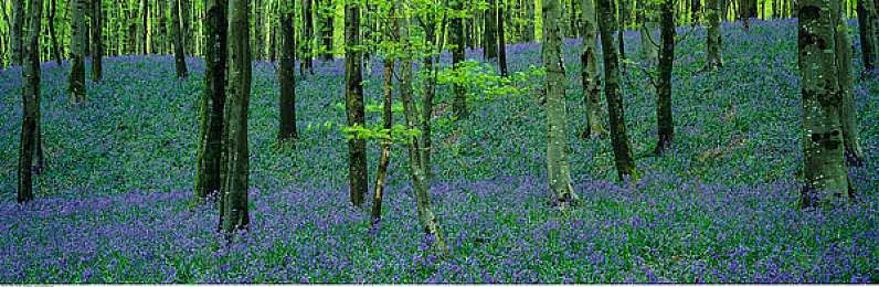 国产成人性:御剑乘风,开放世界中的东方修真之旅-3