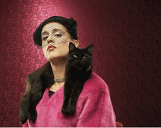 51朝阳区热心群：墨西哥地平线，我们的街头速度家庭-2