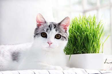 男生操男生软件：极限竞速硬核对决，拟真赛车巅峰之战今日开启-4