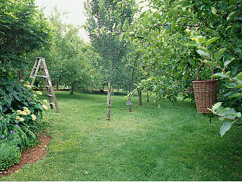 男人的困困进入女人的困困里:速度与温情的交响,在油门与茶杯间找到人生平衡-3