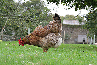 双人床上剧烈运动软件：极速同步双轨狂飙，分屏共驾引爆合作竞速新体验-3