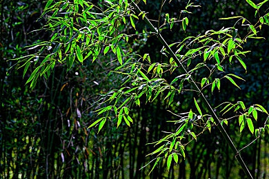 男生跟女生搞基软件：极速都市，双轨竞驰，改装社交共融新纪元-4