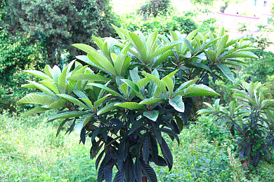 吃瓜黑料曝光：极速狂飙暗影对决开发内幕揭秘，专业攻略助你称霸赛道-5