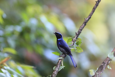 体育生互飞互淫 口嗨：极速交锋，弯道共鸣，虚拟赛道上的竞逐与羁绊-2