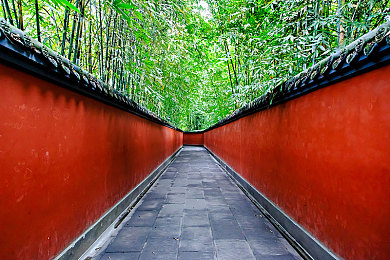 2023已经更新黄色软件:霓虹幻夜,极速重燃的赛道诗篇-2