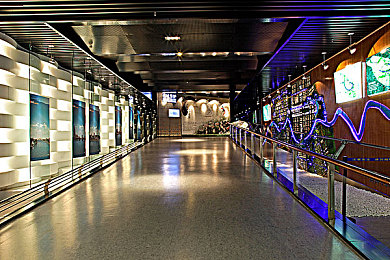 黄三色指的是哪三色：极速幻影，赛道三重奏，风险与规则的色彩博弈诗篇