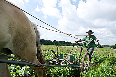插入蜜桃：《极速蜜桃》今日上线，动态装备系统革新竞速游戏策略体验-2