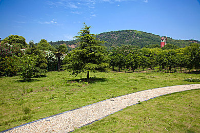 软件下载3.0.3OPPO版破解大全苹果:极速都市重制,全平台竞速新纪元-2