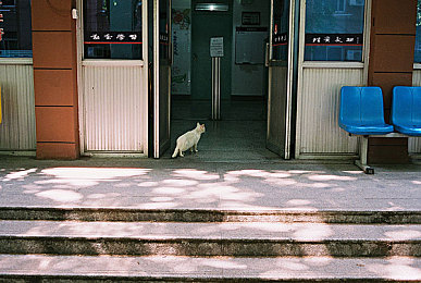 91爆料黑料成人：《极速暗影》今日上线，深挖对手档案竟成街头竞速全新战术-3