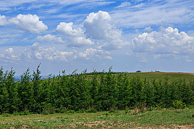 色V：霓虹光谱，极速绘卷中的色彩协奏曲