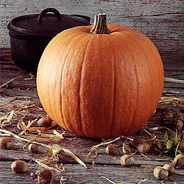 机机对机手机免费版下载安装大全2023：未来机械师，赛道上的组装革命-3