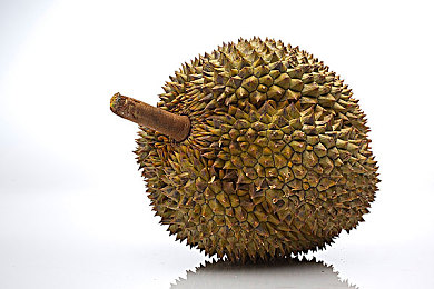 阿娇吃鸡动态壁纸大全：绝地求生玩家生态新潮，战术竞技文化渗入数字生活日常-4