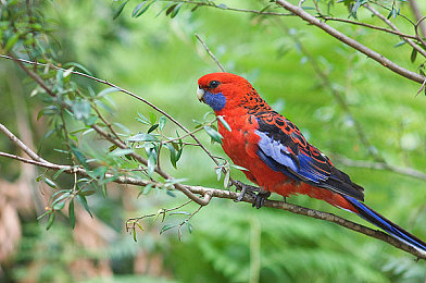 操比app：硬核竞速新作今日上线，极致物理模拟重塑虚拟驾驶体验-2