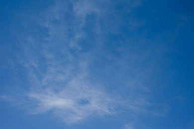 下载黄色软件3.30：极限狂飙霓虹新版涂装编辑器解锁，打造专属霓虹赛车艺术