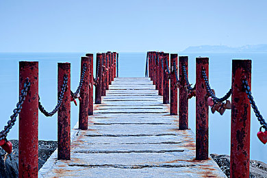 艳女直播ApP：极速狂飙与虚拟偶像，跨界直播竞速新体验-3
