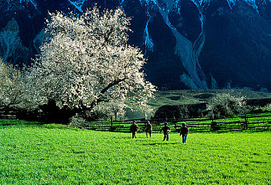 自由性别自由成熟的女性：霓虹幻境中的独立意志，改装座驾定义街头传奇-4