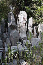 男同射团：极速同步，改装战车，团队射击，战术狂飙-4