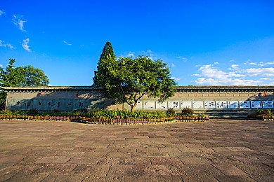 黄色App免费下载OPPO：疾速幻影，都市霓虹下的竞速新纪元-3