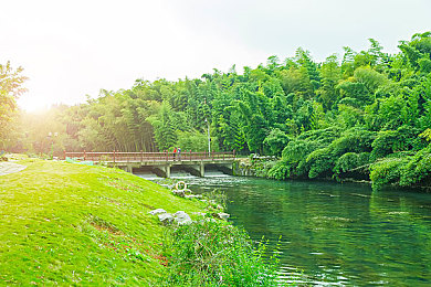 五月婷婷丁花香：竞速新游极速花语上线，春日丁香赛道演绎速度与芬芳的浪漫之旅-2