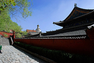 公让我高潮了好几次：极限竞速地平线5，墨西哥开放世界驾驶体验巅峰-2