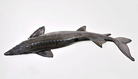 机机和机机手机无需下载：云端狂飙，极速竞驰，无载入的虚拟赛道革命-3