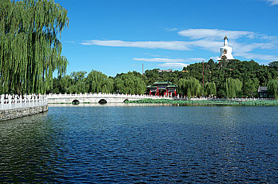 不知火舞和三个男孩在森林：疾风传说，忍者之心与竞速之魂的密林协奏-2