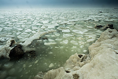 黄色软件vivo版每天3次：极速狂飙每日挑战版上线，vivo平台专属优化引爆赛车热潮-4