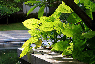 sm男奴:赛道主宰进阶攻略,成为掌控全局的策略型车手-3