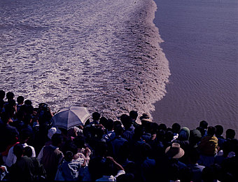 夜间十大禁黄：暗影疾驰，驾驭夜色中的光影赛道与生存智慧-3