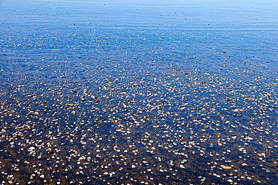 男女一起差差差软件下载：双人极速之旅，携手驰骋开放世界竞速乐园-1