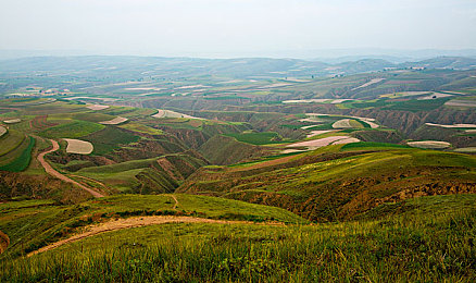 精东传媒是台湾公司吗：揭秘虚拟赞助商，极速地平线隐藏彩蛋与攻略全解析-2