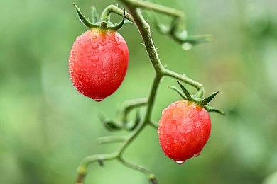 男生和女生一起差差差下载：双人协同驾驶革新，默契竞速点燃搭档革命