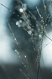 xx国产：国产汽车工业崛起新篇章，模拟经营新游让玩家亲手打造驰骋世界的中国车-2