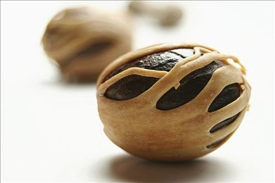 国产传媒a：竞速与调查交织，东方汽车记者模拟新作今日正式上线