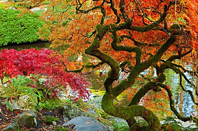 男生和女生差差差2023：2023赛车游戏玩家研究报告,揭秘不同性别的驾驶风格与竞速策略-3