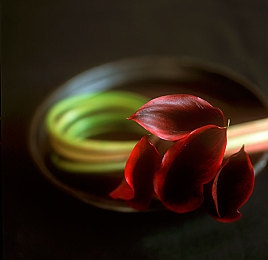 鸡鸡桶鸡鸡：竞速场上的滑稽战略，障碍与驾驶的狂欢对决-2