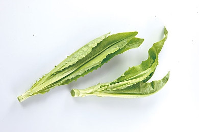 无翼乌之:驾驭钢铁之翼,在墨西哥地平线解锁终极飞驰自由-4