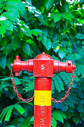 美女脱衣视频软件：霓虹幻影，数据迷踪中的伦理竞速之旅-2