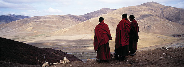 国产黑料第一页：霓虹都市狂飙，揭秘赛博朋克赛车的暗影谜局-3