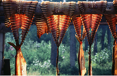 欧美成人性爱网站：霓虹光影中的速度诗篇，未来都市街头竞速物语-3