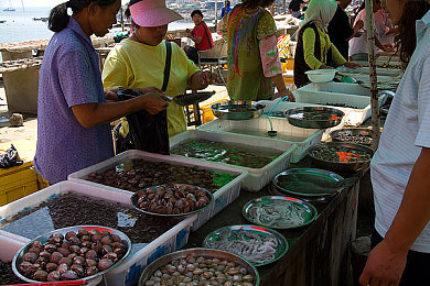 操人应用：极致驾驶新标杆，都市狂飙今日上线，真实操控颠覆竞速体验