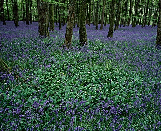 男生女生一起查查查的APP：双人竞速解谜新作极速搭档上线，实时协作共闯汽车谜题世界