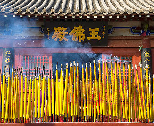 蝌蚪窝最新:极速进化,从水中萌物到赛道霸主的竞速新体验-4