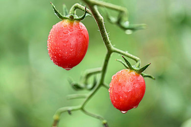 美女和男人差差软件：极速代号Delta，性别光谱驾驶实验室-2